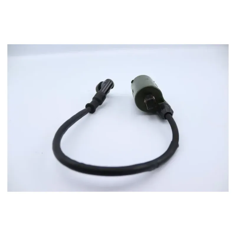 Bobine allumage HONDA NSS 250 FORZA ABS 2005 - 2006