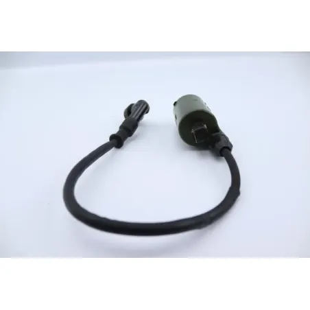 Bobine allumage HONDA NSS 250 FORZA ABS 2005 - 2006
