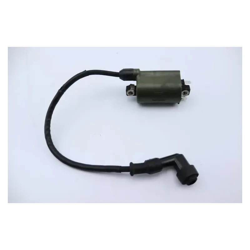 Bobine allumage HONDA NSS 250 FORZA ABS 2005 - 2006