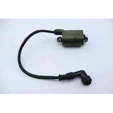 Bobine allumage HONDA NSS 250 FORZA ABS 2005 - 2006
