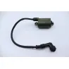 Bobine allumage HONDA NSS 250 FORZA ABS 2005 - 2006 Bobine allumage HONDA NSS 250 FORZA ABS 2005 - 2006