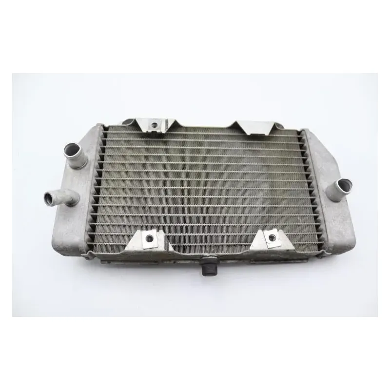 Radiateur eau HONDA NSS 250 FORZA ABS 2005 - 2006