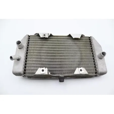 Radiateur eau HONDA NSS 250 FORZA ABS 2005 - 2006