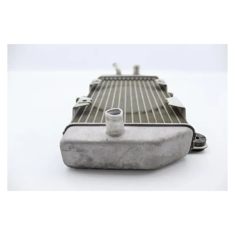 Radiateur eau HONDA NSS 250 FORZA ABS 2005 - 2006