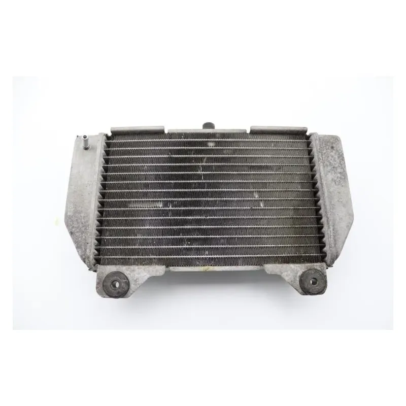 Radiateur eau HONDA NSS 250 FORZA ABS 2005 - 2006