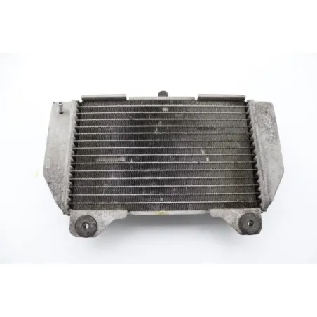 Radiateur eau HONDA NSS 250 FORZA ABS 2005 - 2006