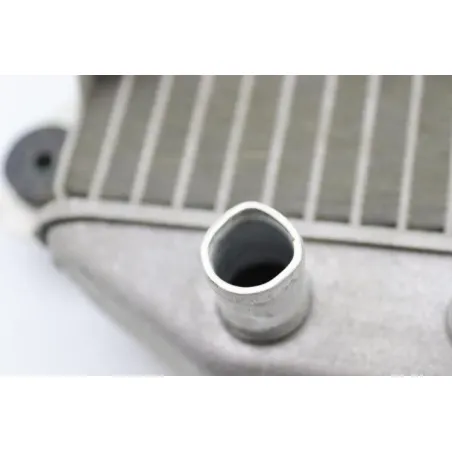 Radiateur eau HONDA NSS 250 FORZA ABS 2005 - 2006