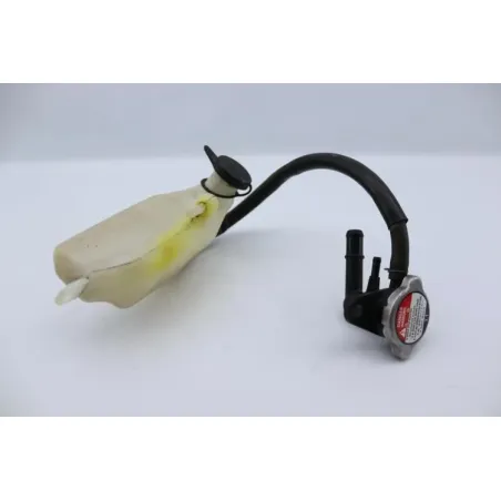 Vase expansion HONDA NSS 250 FORZA ABS 2005 - 2006