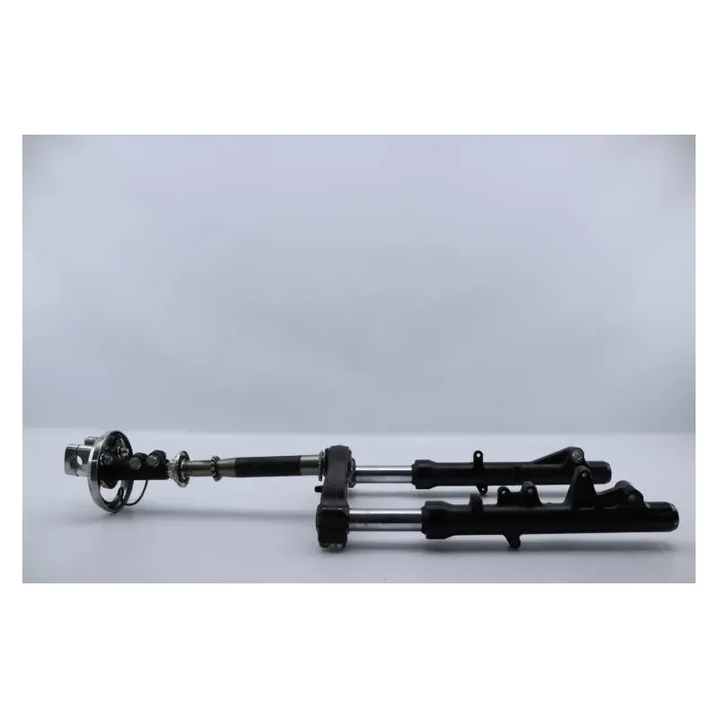 Fourche complete HONDA NSS 250 FORZA ABS 2005 - 2006