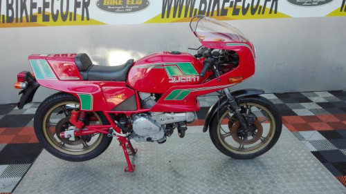 DUCATI PANTAH 500