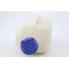 Vase expansion PEUGEOT SATELIS 500 2008 - 2013 Vase expansion PEUGEOT SATELIS 500 2008 - 2013