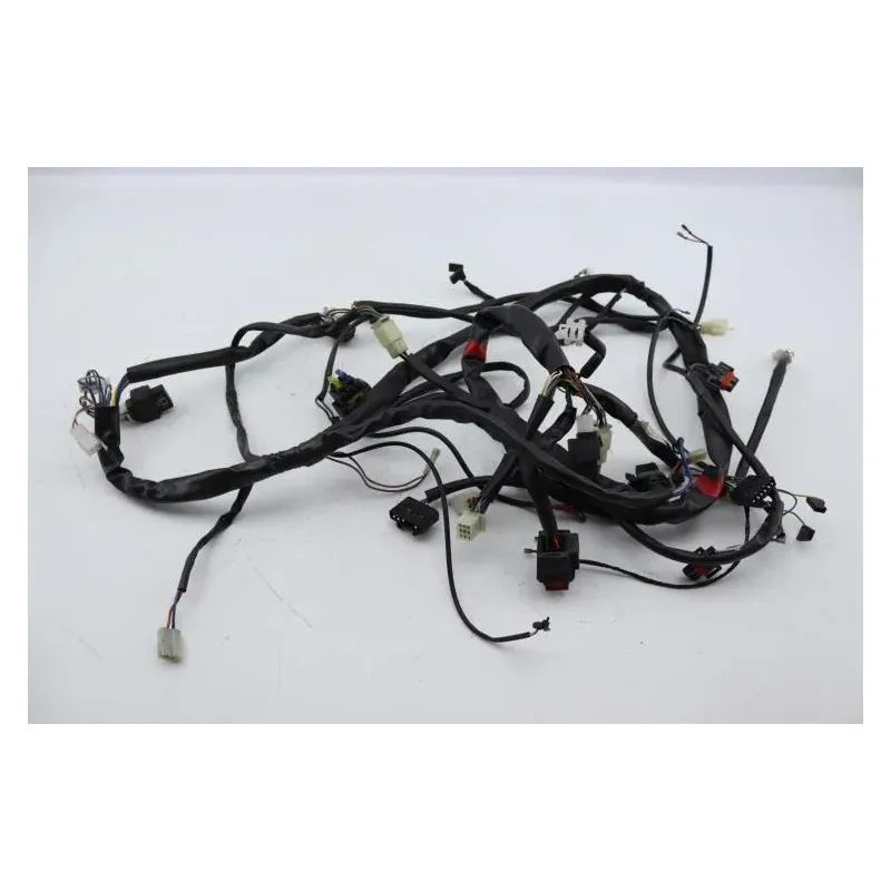 Faisceau electrique APRILIA ATLANTIC 125 2008 - 2009