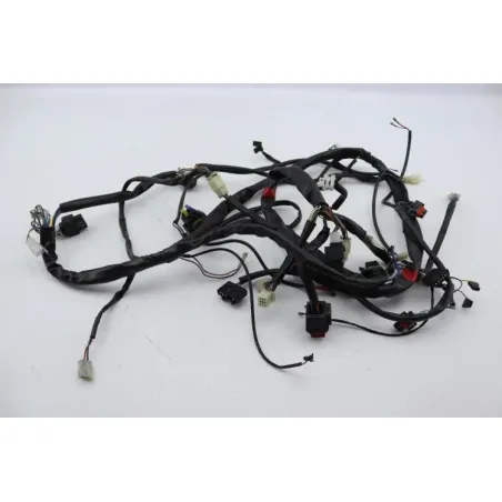 Faisceau electrique APRILIA ATLANTIC 125 2008 - 2009