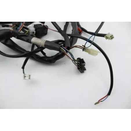 Faisceau electrique APRILIA ATLANTIC 125 2008 - 2009