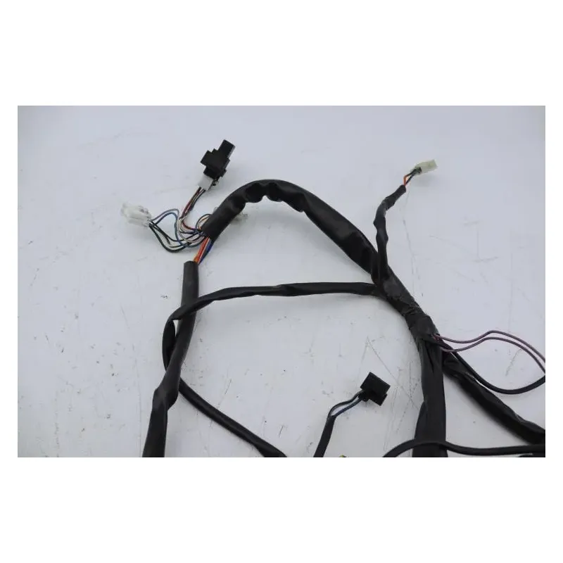 Faisceau electrique APRILIA ATLANTIC 125 2008 - 2009