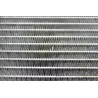 Radiateur eau droit APRILIA ATLANTIC 125 2008 - 2009 Radiateur eau droit APRILIA ATLANTIC 125 2008 - 2009
