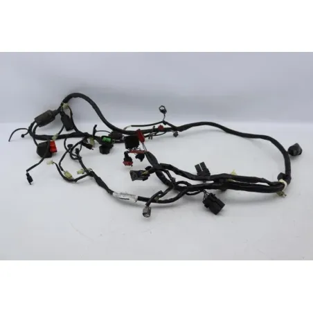 Faisceau electrique HONDA FES 125 PANTHEON 2005 - 2006