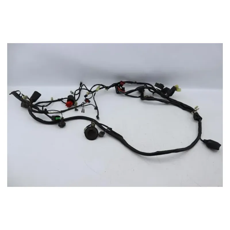 Faisceau electrique HONDA FES 125 PANTHEON 2005 - 2006