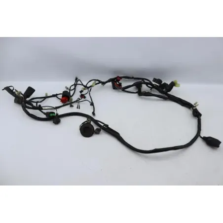 Faisceau electrique HONDA FES 125 PANTHEON 2005 - 2006