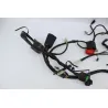 Faisceau electrique HONDA FES 125 PANTHEON 2005 - 2006 Faisceau electrique HONDA FES 125 PANTHEON 2005 - 2006