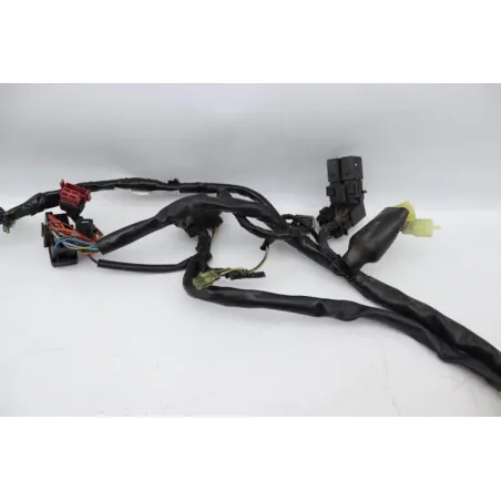 Faisceau electrique HONDA FES 125 PANTHEON 2005 - 2006