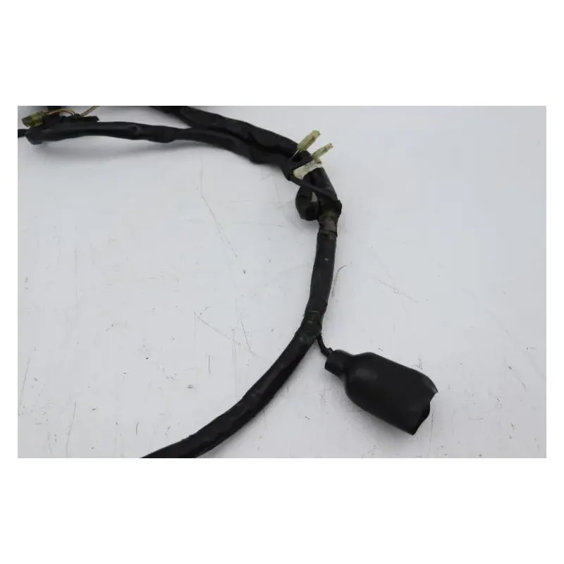 Faisceau electrique HONDA FES 125 PANTHEON 2005 - 2006