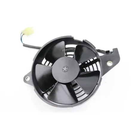Ventilateur HONDA FES 125 PANTHEON 2005 - 2006